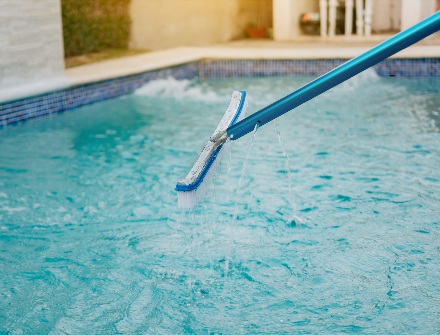 Horton Aquatics LLC - Business Photo Gallery Image