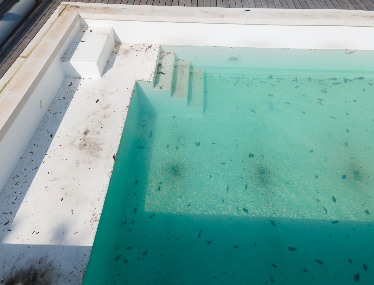 Horton Aquatics LLC - Business Photo Gallery Image