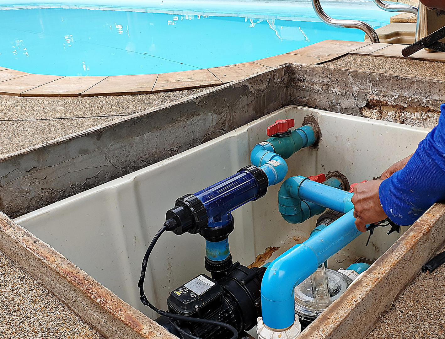 Horton Aquatics LLC - Business Photo Gallery Image