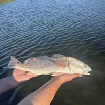 Fins Up Fishing Charters - Business Photo Gallery Image