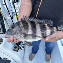 Fins Up Fishing Charters - Business Photo Gallery Image