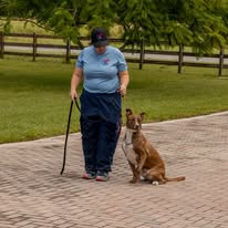 All American K9 - Business Photo Gallery Image