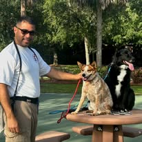 All American K9 - Business Photo Gallery Image