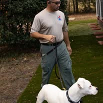 All American K9 - Business Photo Gallery Image