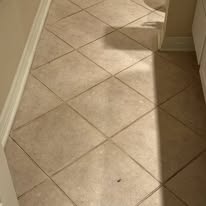 Nature's Way Cleaning - Business Photo Gallery Image
