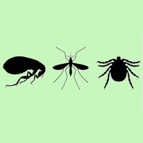 Pest-X - Business Photo Gallery Image