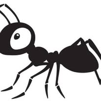 Pest-X - Business Photo Gallery Image