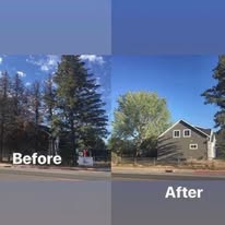 Skyline Tree Service, LLC - Business Photo Gallery Image