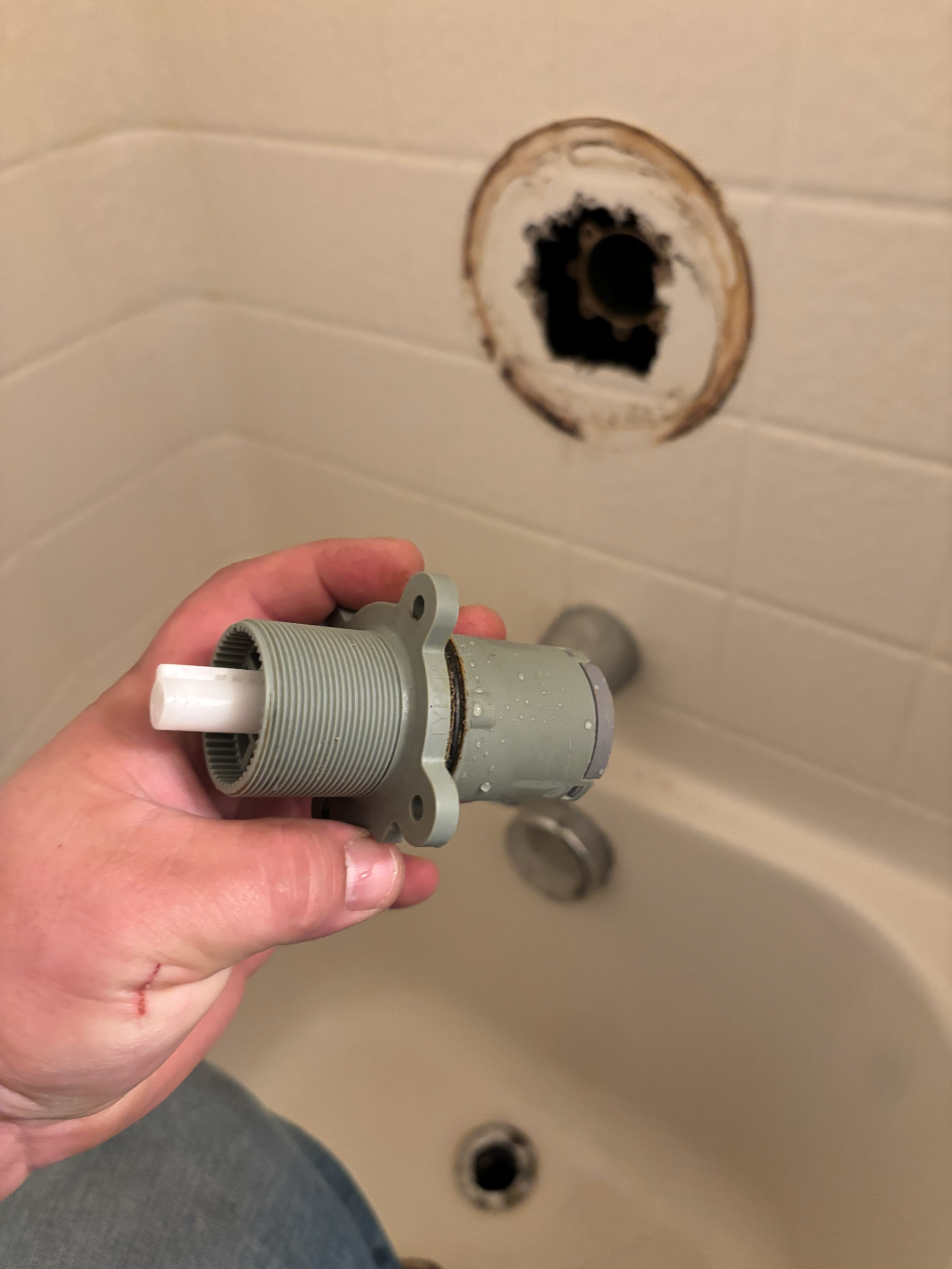 Legacy Plumbing Solutions LLC - Business Photo Gallery Image