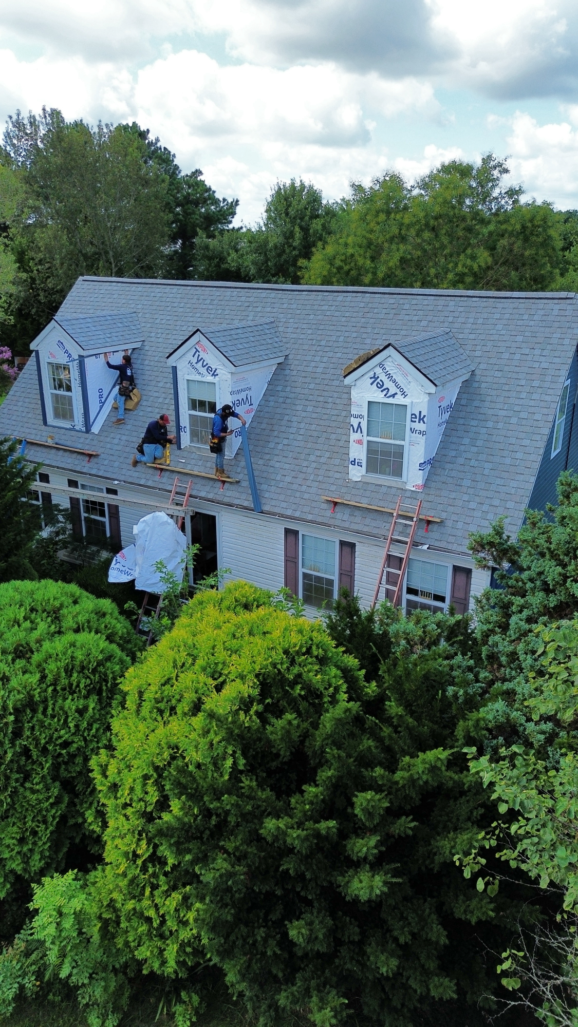 PureBred Contracting - Business Photo Gallery Image